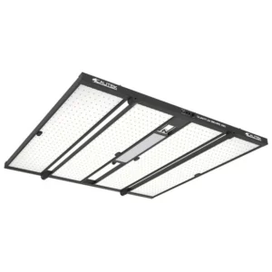 Calitek – Quantum Bears 680W