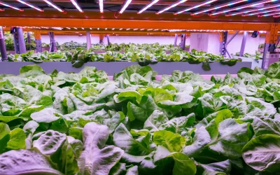 Eclairage Led horticole