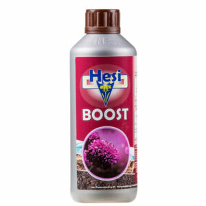 HESI - BOOST 500ml
