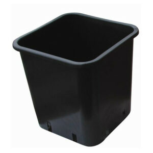 Pot Carré Noir - Plastique (Toutes tailles)