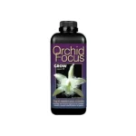 orchid focus grow