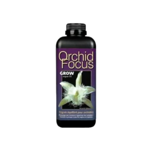 orchid focus grow