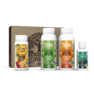 pack MG vegan
