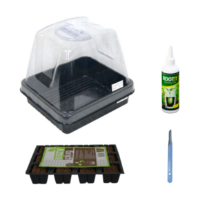 Kit pour 12 Boutures