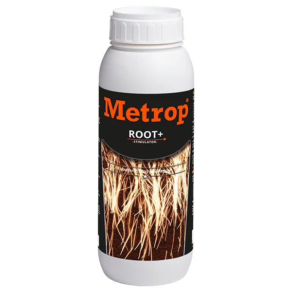 root+ 1L racinaire
