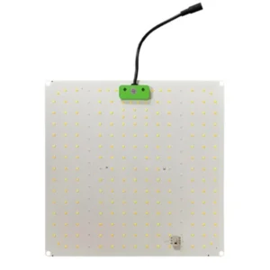 quantum light 150w croissance et floraison