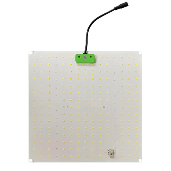 quantum light 150w croissance et floraison