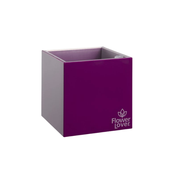 Cubico 21x21cm Violet